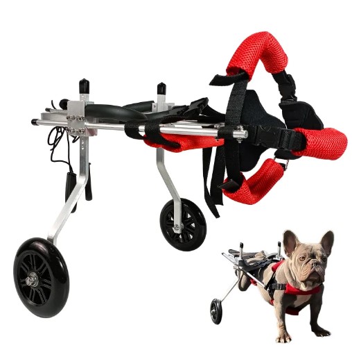  - כסאות גלגלים לכלב לרגליים אחוריות של כלב משותקות