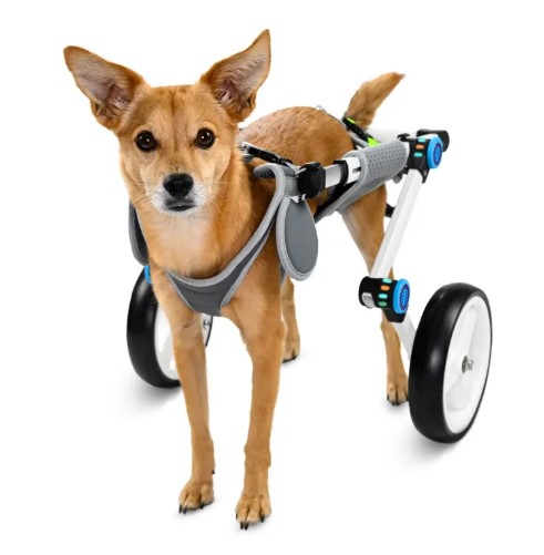  - כסאות גלגלים לכלב פורד לרגליים אחוריות של כלב