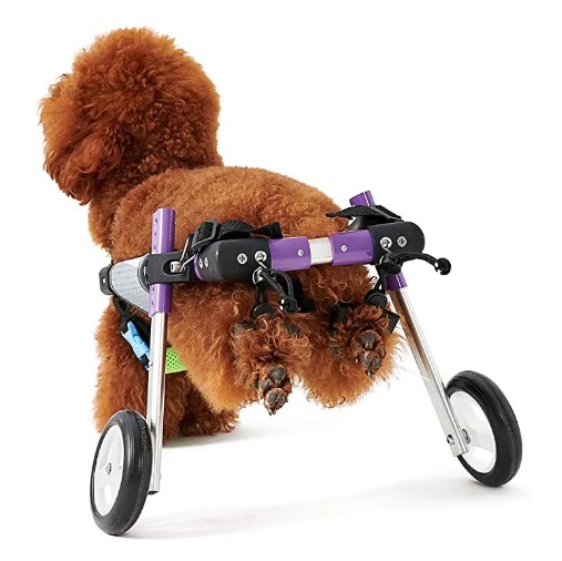 - כסאות גלגלים מתקדמים לכלבים לכלבים קטנים