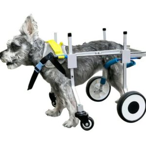  - כסאות גלגלים לכלב לחולשה משותקת רגלי כלב