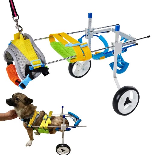  - כסאות גלגלים מתכווננים לכלב לרגליים אחוריות לכלב משותק