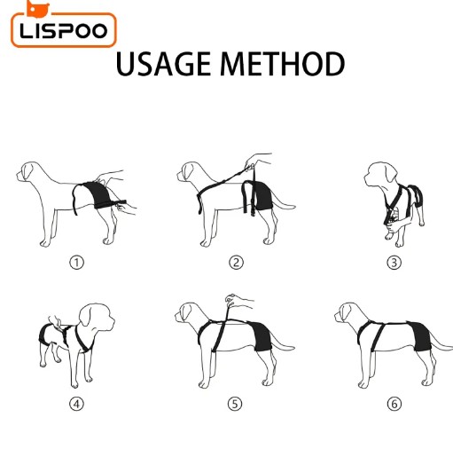  - סד ירכיים לכלבים LISPOO לדיספלזיה של מפרק הירך