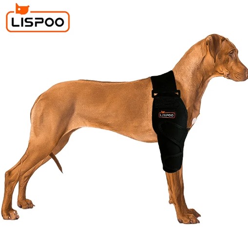  - סמכי מרפק לכלבים LISPOO מציעים תמיכה והגנה על המרפקים