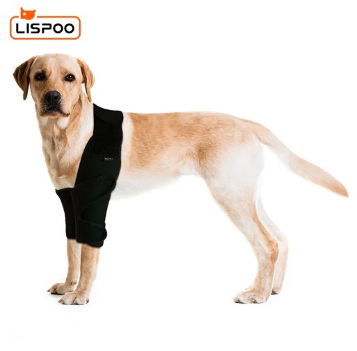  - סמכי מרפק לכלבים LISPOO מציעים תמיכה והגנה על המרפקים