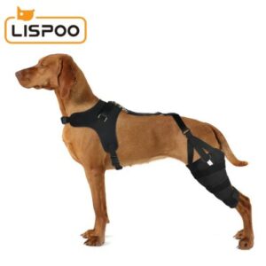  - סד ברך ACL של LISPOO לכלב עם סד מתכת תמיכה גמישה