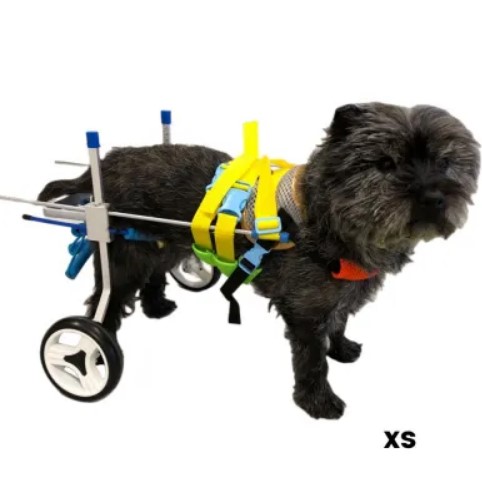  - כיסא גלגלים לכלב קטן לרגליים אחוריות