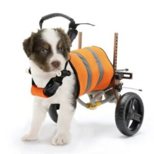  - כסאות גלגלים לכלב קטן לתמיכה ברגליים אחוריות
