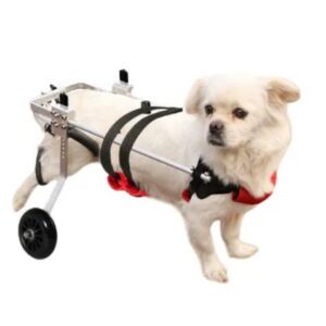  - כלב קטן/בינוני כיסא גלגלים רגל אחורית
