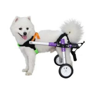  - כיסא גלגלים אחורי של כלב קטן