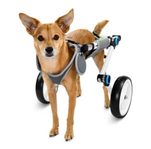  - כיסא גלגלים לכלב גדול שניתן לאכילה לרגליים אחוריות